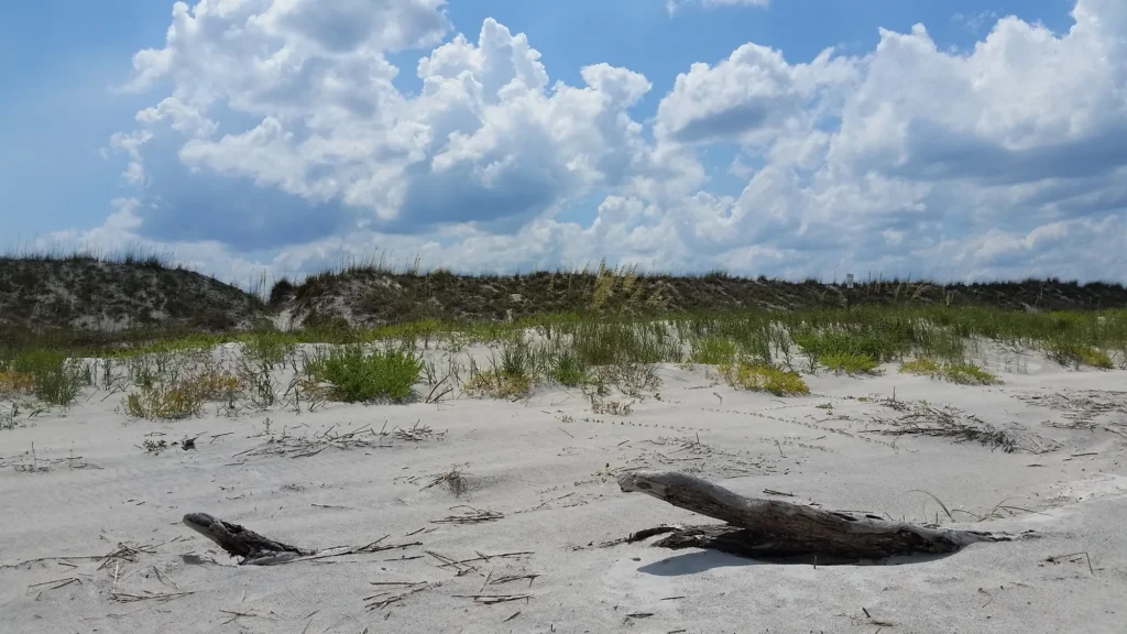 Anastasia Island