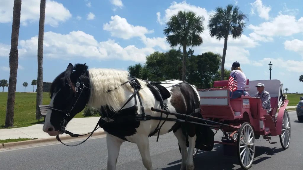 Best tours in St. Augustine