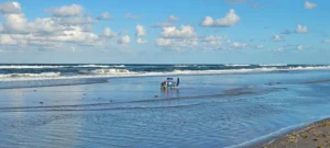 The Floridian