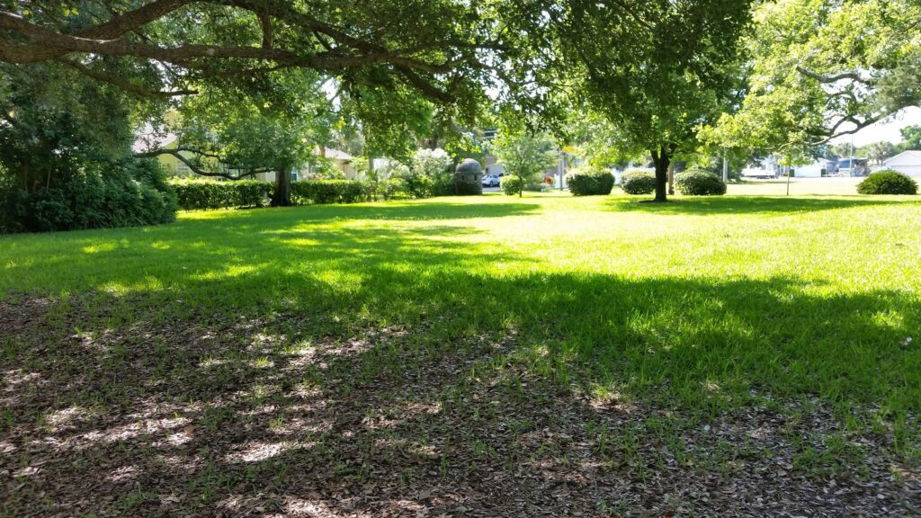 A giant live oak shading Oglethorpe Battery Park in Davis Shores